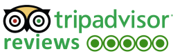 tripadvisor logo transfers.ma